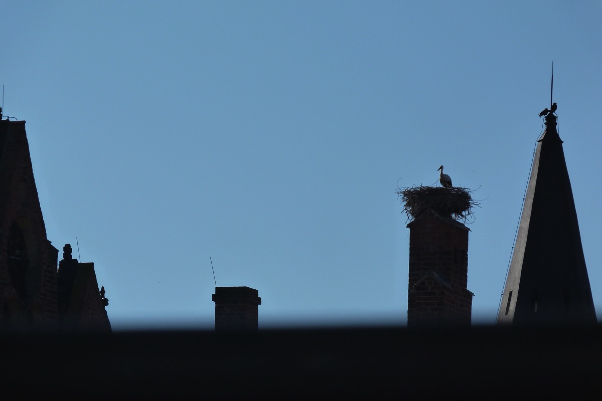 Stacks Image 158